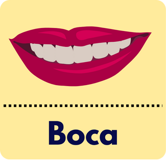 Letra B